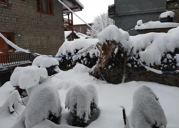 Joshi\'S Homestay