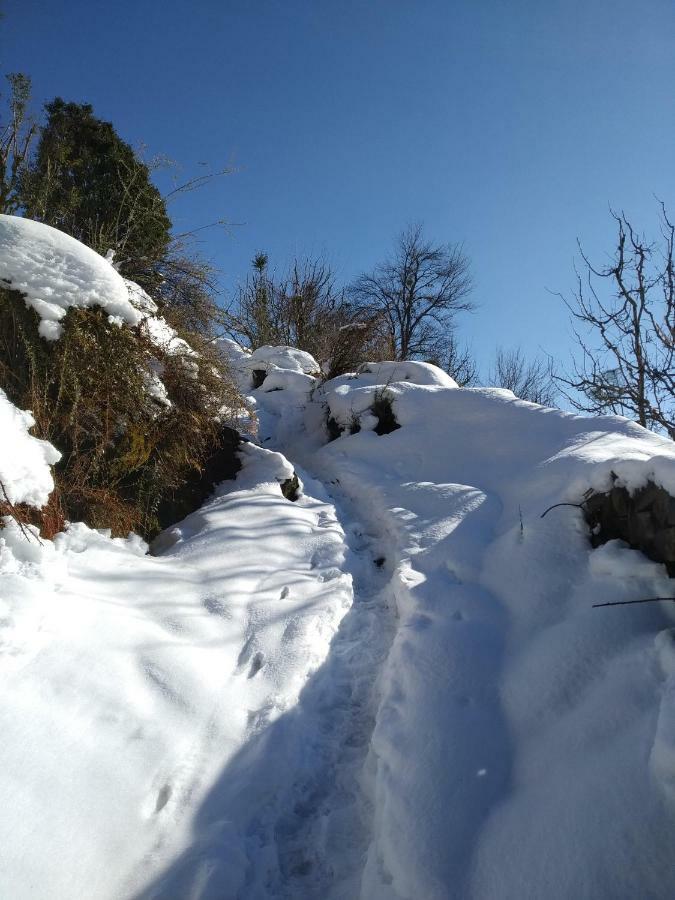 Joshi's Homestay Hotel Manali (Himachal Pradesh)