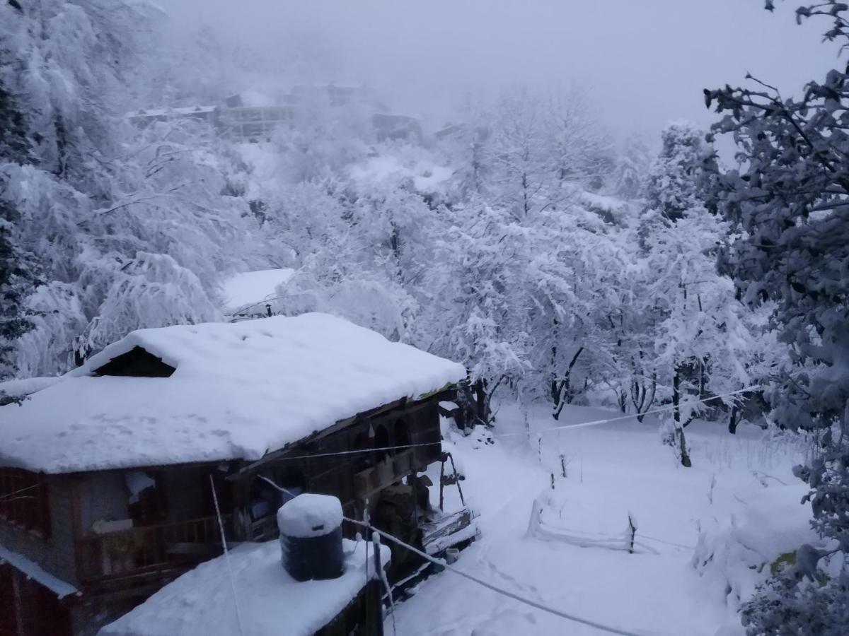 Joshi's Homestay Hotel