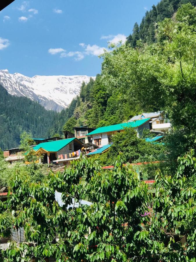 Hotel Joshi's Homestay